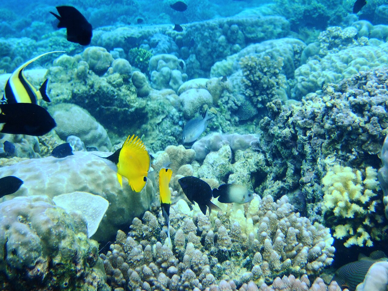 마나도 여행